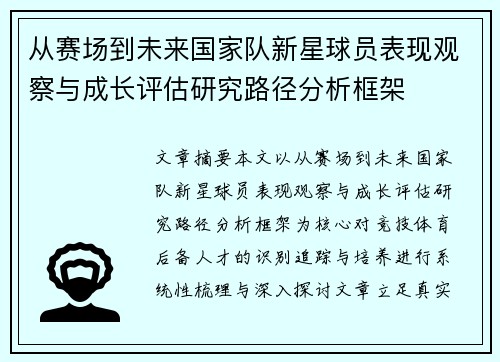 从赛场到未来国家队新星球员表现观察与成长评估研究路径分析框架